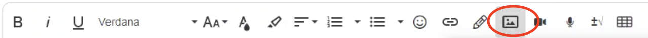 image of the submission text box with the image icon highlighted