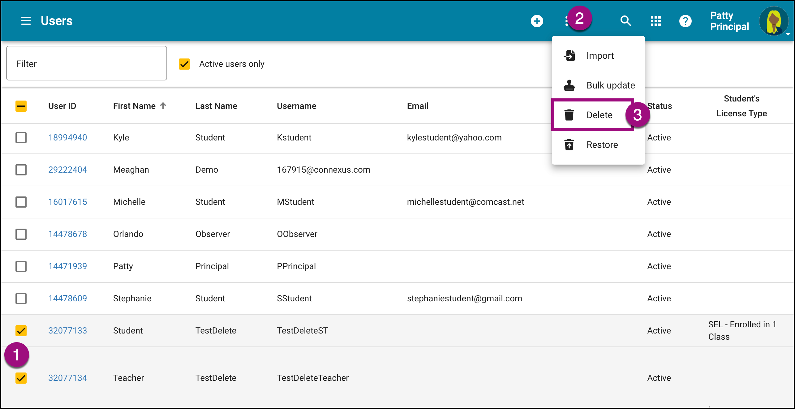 Screenshot of the Users tool with two users selected to delete.