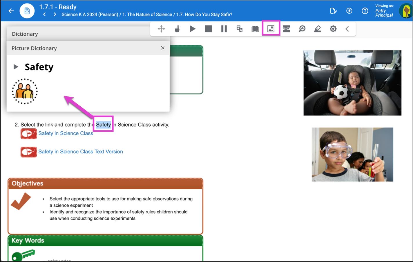 Screenshot of the picture dictionary tool in action.