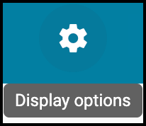 Screenshot of the Display Options icon in the header toolbar. 