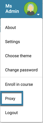 User menu, highlighting select Proxy