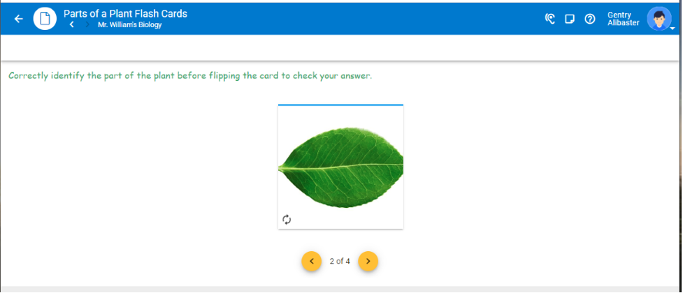 The sample window shows the stack option, that displays the instructions along the front of one flashcard, which is an image of a leaf.