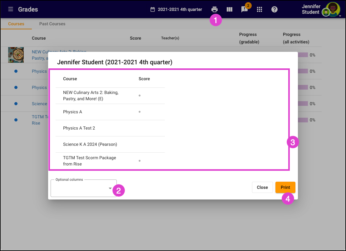 Screenshot of the options available when printing. 
