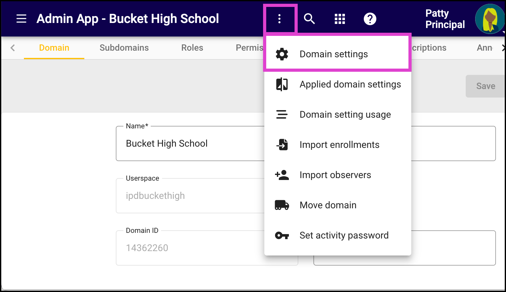 Screenshot of the More drop-down menu expanded and Domain settings highlighted.