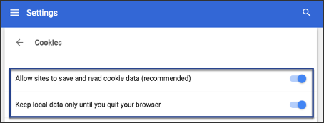 keep local data only until you quit browser