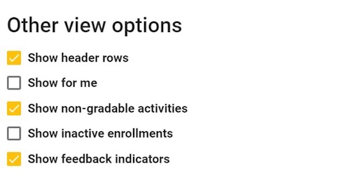 image of the other view options card with show header rows, show non-gradable activities, and show feedback indicators selected.
